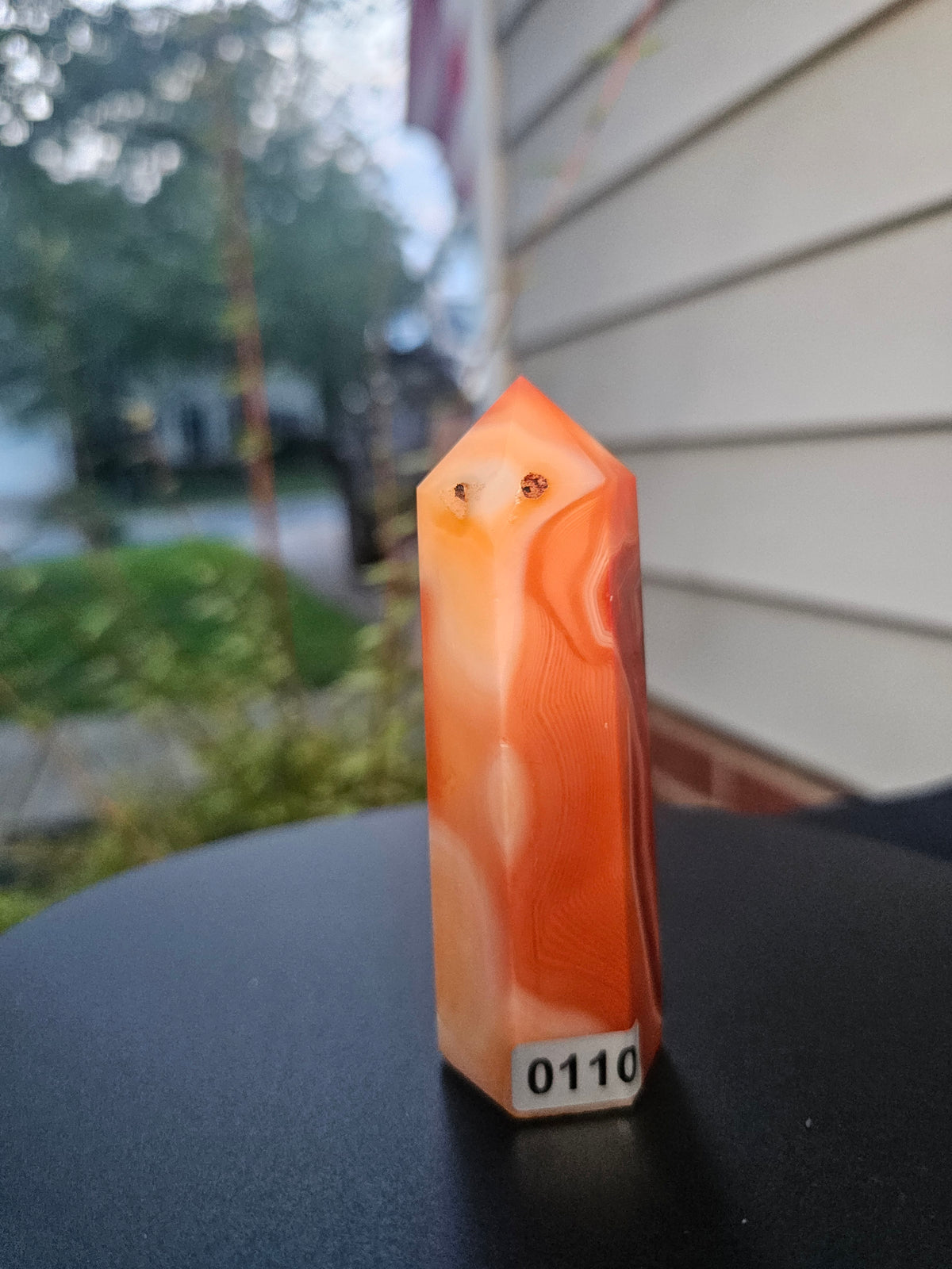 🔥✨ Carnelian Agate Tower 110 ✨🔥
