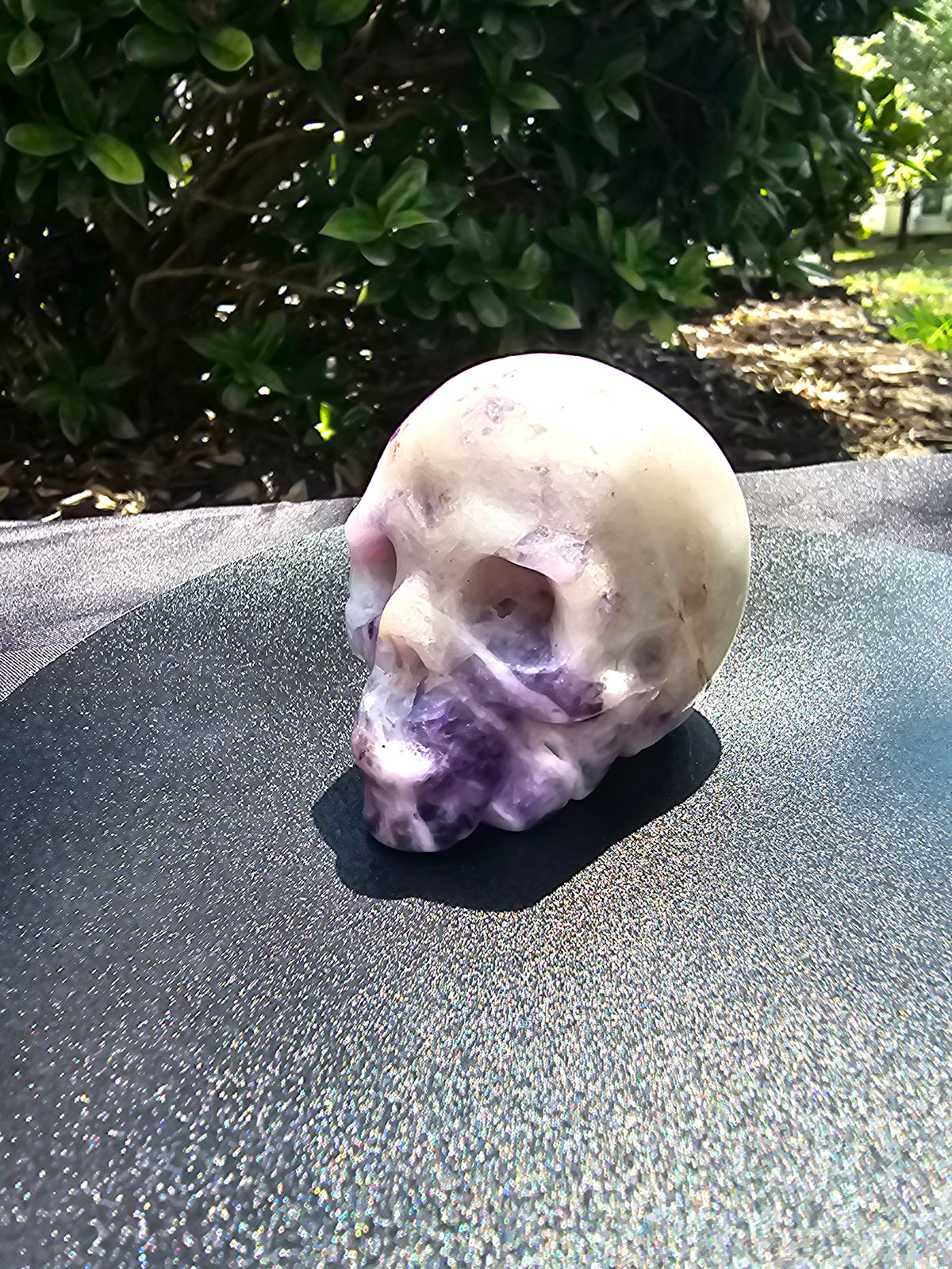 💜 Chevron Amethyst Skull 151