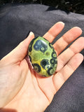 🐉 Kambaba Jasper Palm Stone #0168