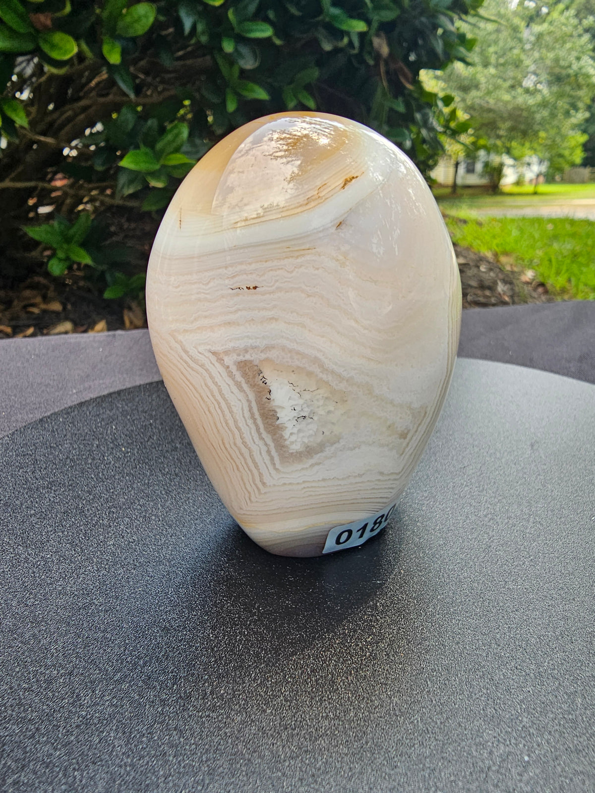 🤎✨ Banded Agate Freeform #180