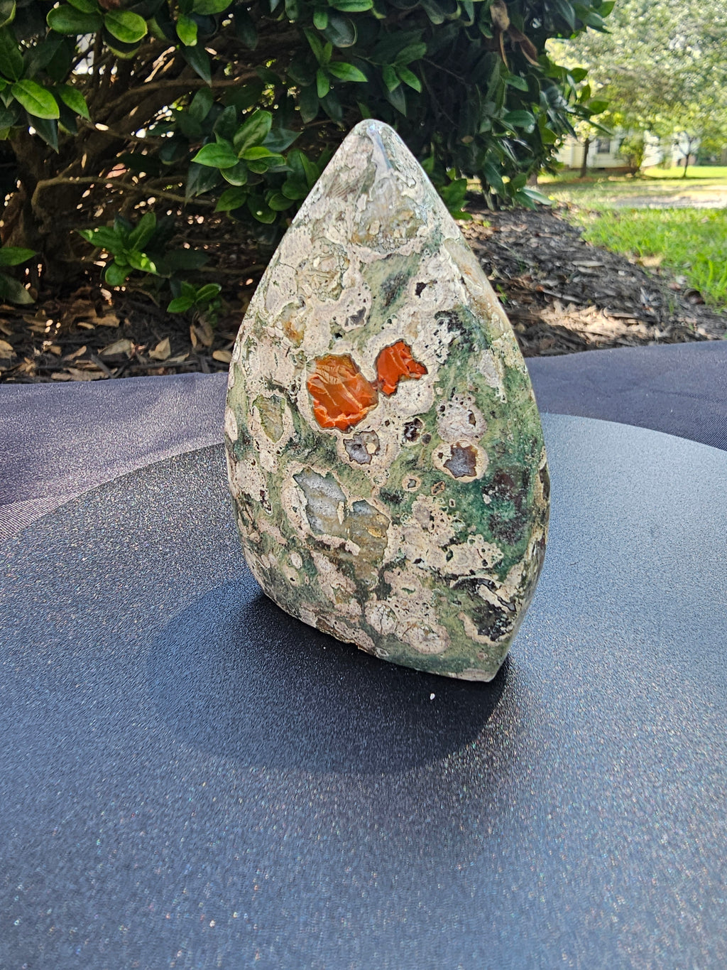 🌿✨ Rainforest Jasper Flame — #0184