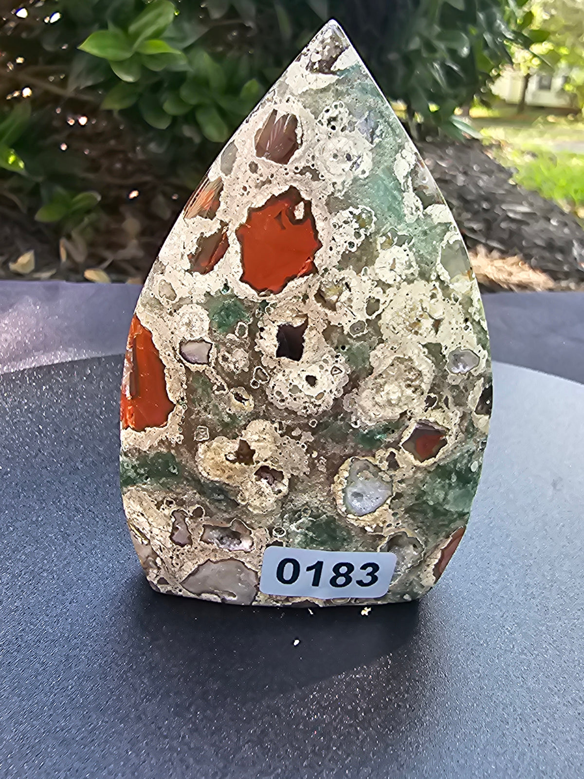 🌿🔥 Rainforest Jasper Flame — #0183