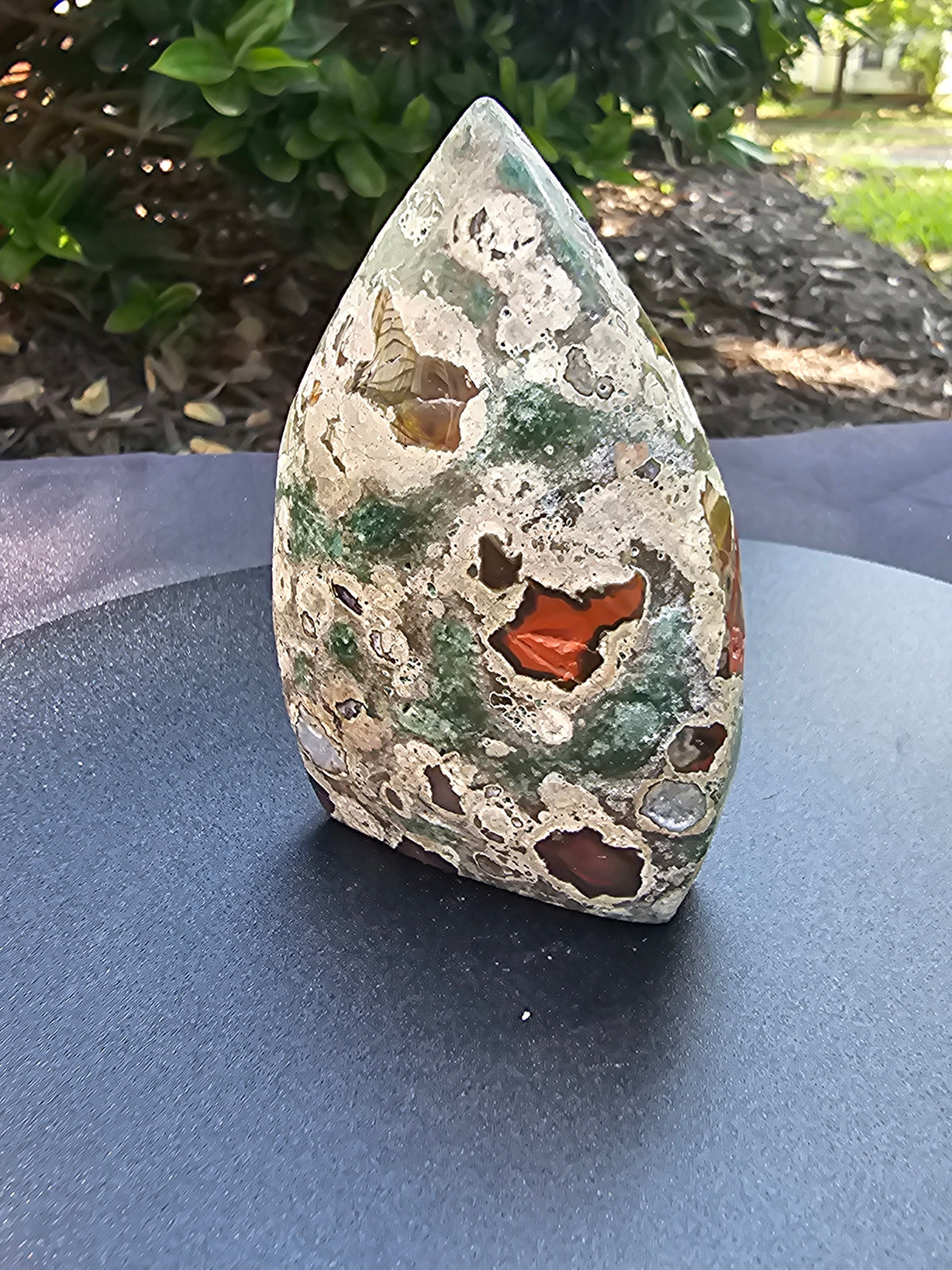 🌿🔥 Rainforest Jasper Flame — #0183