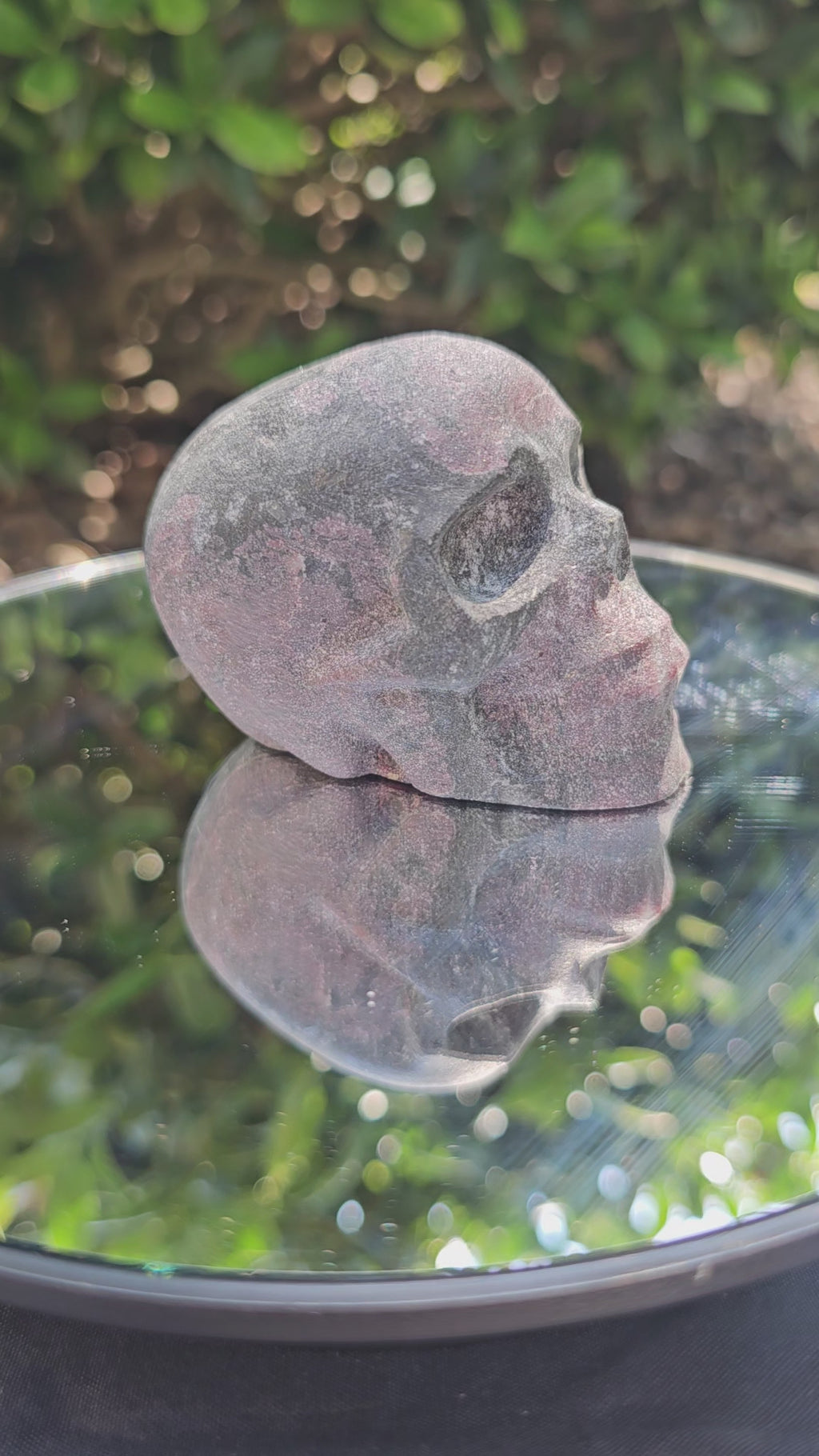 🖤 Garnet Skull 0159