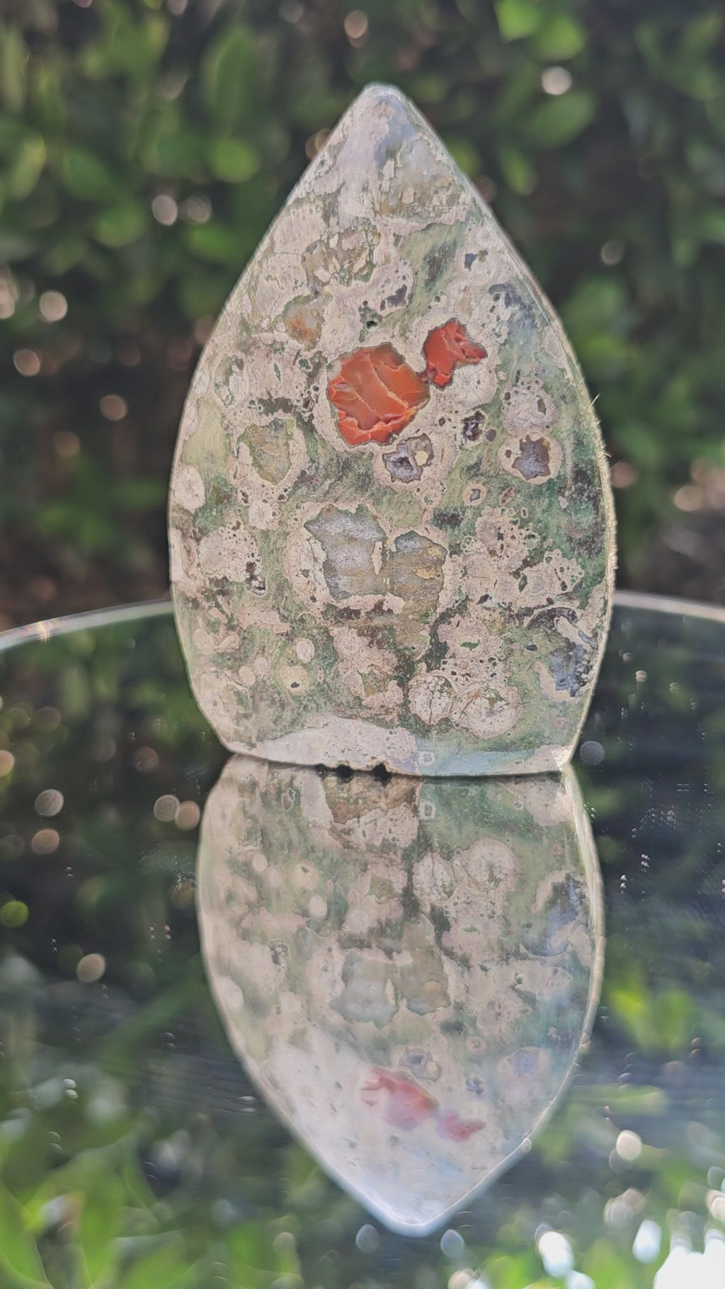 🌿✨ Rainforest Jasper Flame — #0184